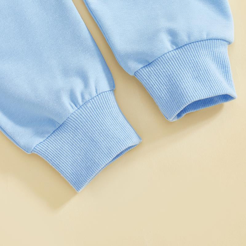 Babamoon Toddler Baby Girl Boy Easter Outfits Set Rabbit Long Sleeve Crew Neck Fuzzy Bunny Tail Embroidery Sweatshirt and Pants Clothing Set 0-3T